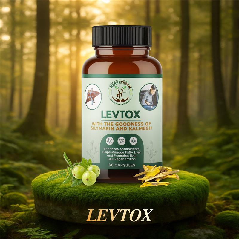 Levtox Capsules for Liver Protection | Dr Handa Ayurveda