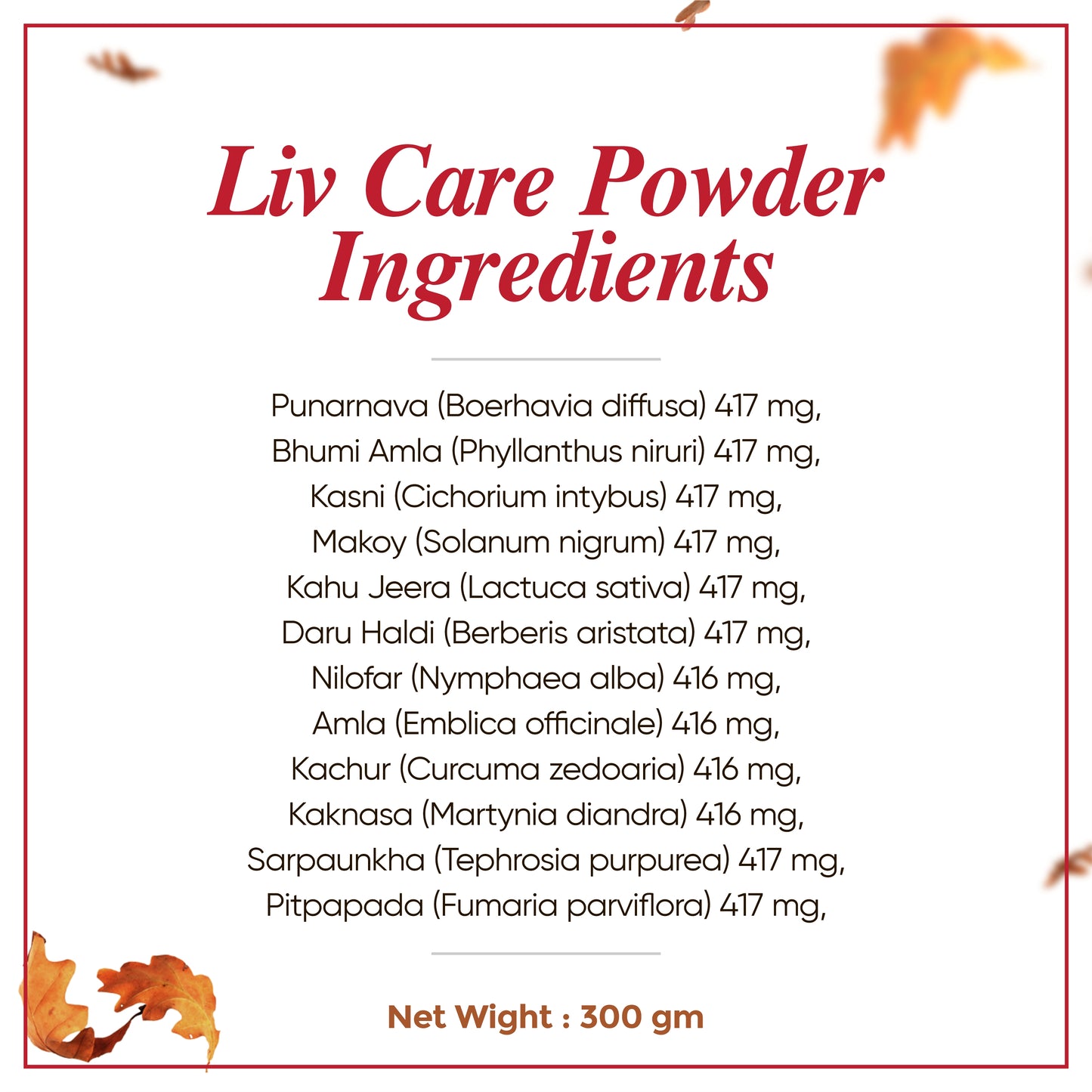 Dr Handa’s Ayurveda Liver Care Powder