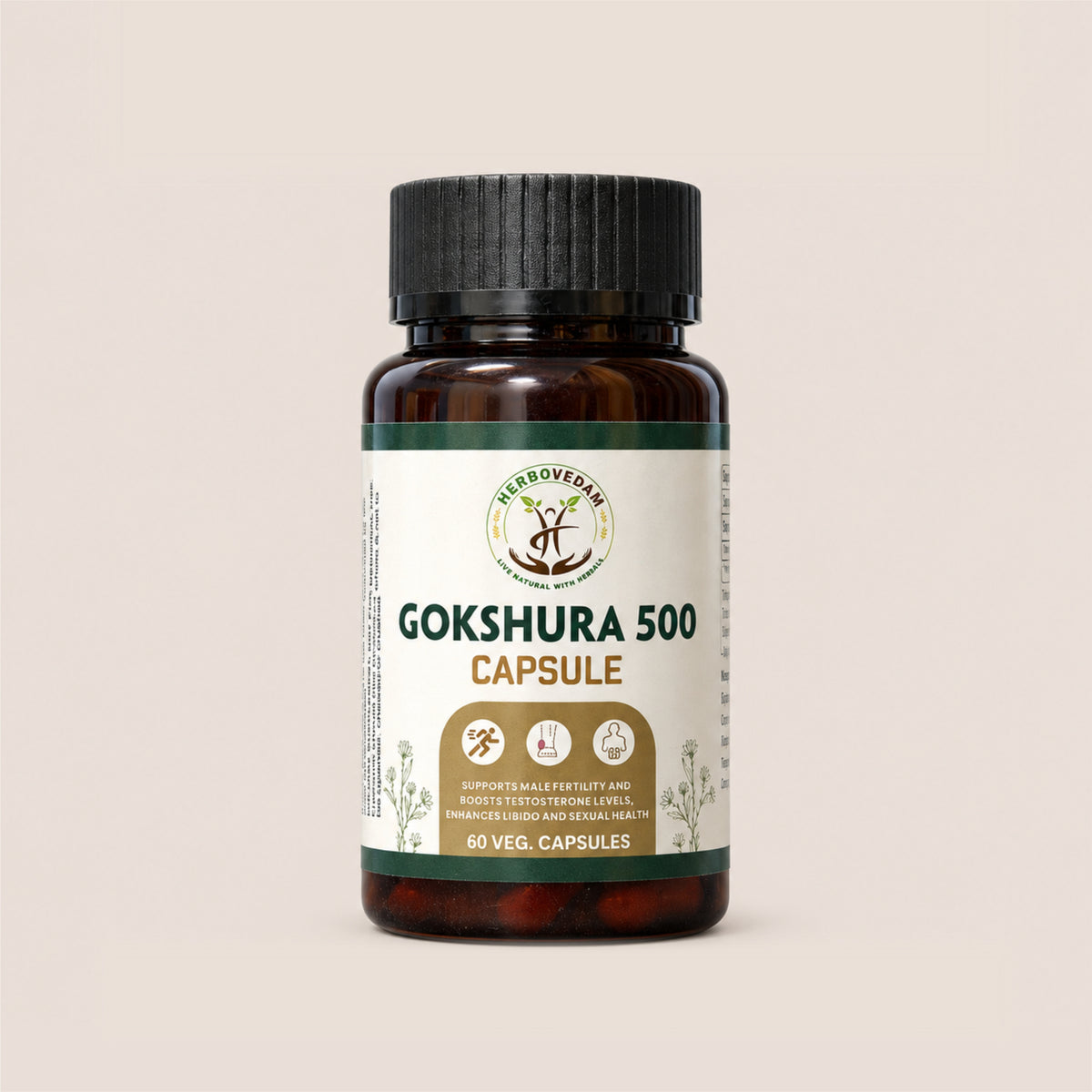 Gokshura 500 Capsule