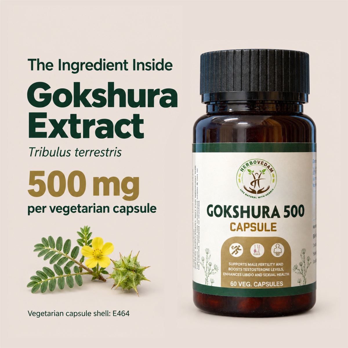 Gokshura 500 Capsule