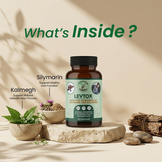 Levtox Capsules for Liver Protection | Dr Handa Ayurveda