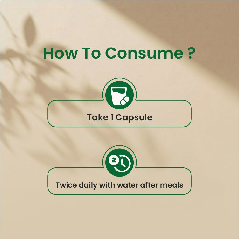 Levtox Capsules for Liver Protection | Dr Handa Ayurveda